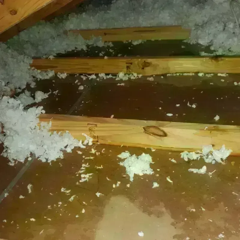 Attic Water Damage in Lincoln, AR