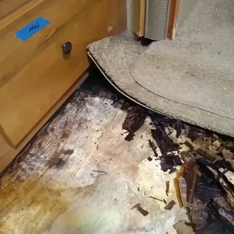 Best Wood Floor Water Damage Service in Lincoln, AR